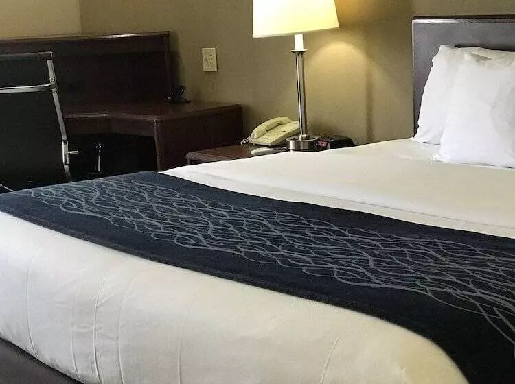 ホテル Comfort Inn