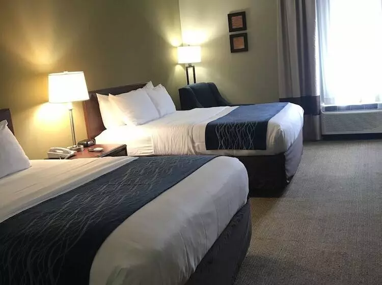 ホテル Comfort Inn