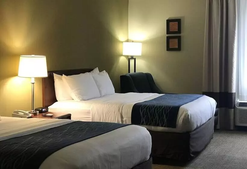 ホテル Comfort Inn