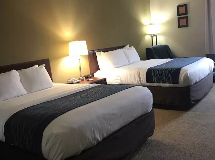 ホテル Comfort Inn