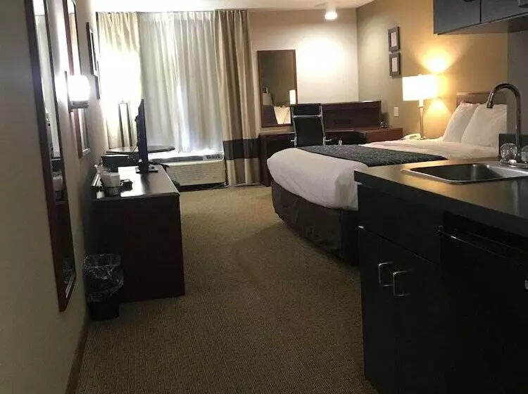 ホテル Comfort Inn