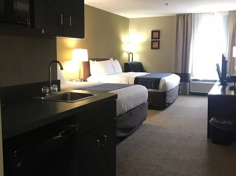 ホテル Comfort Inn