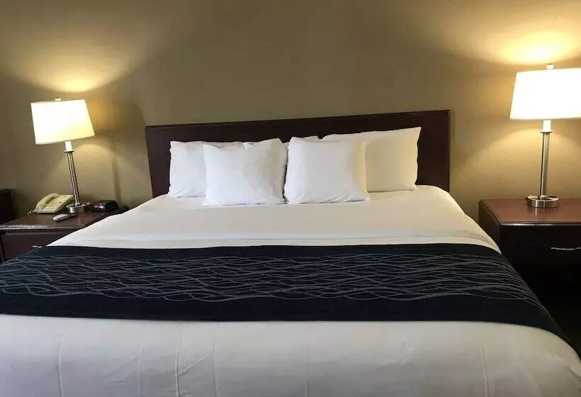 ホテル Comfort Inn