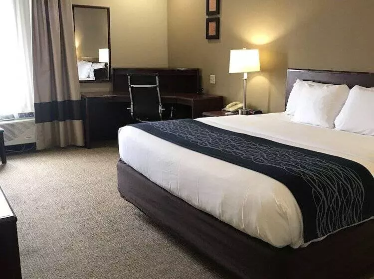 ホテル Comfort Inn