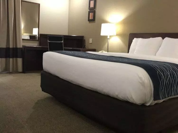 ホテル Comfort Inn
