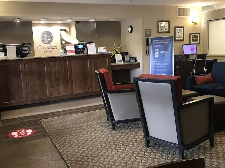 ホテル Comfort Inn