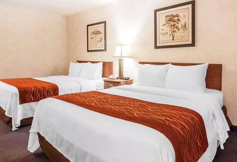 هتل Holiday Inn Express & Suites Tumwater – Olympia By Ihg