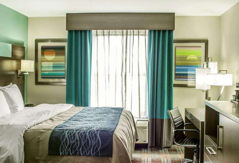 ホテル Comfort Inn Dunn Near I95