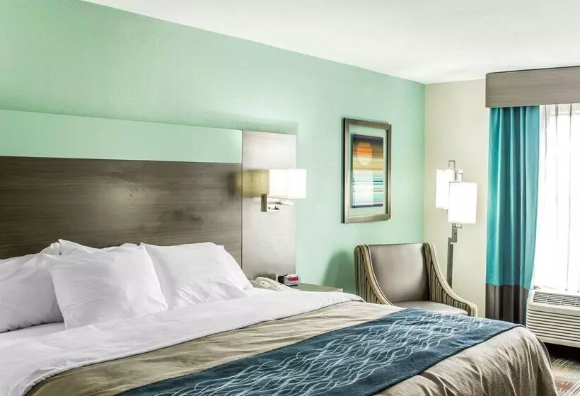 酒店 Comfort Inn Dunn Near I95