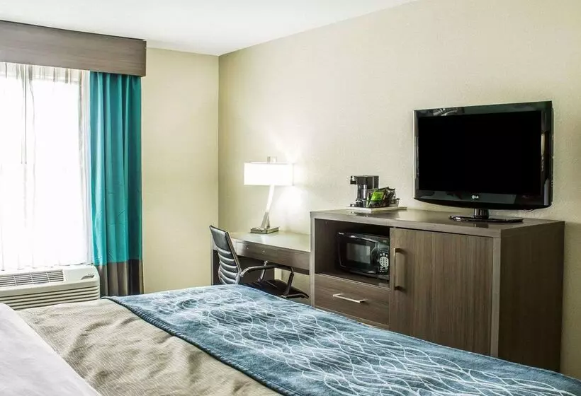 酒店 Comfort Inn Dunn Near I95