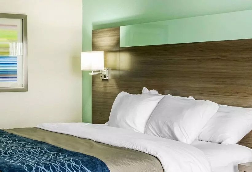 酒店 Comfort Inn Dunn Near I95