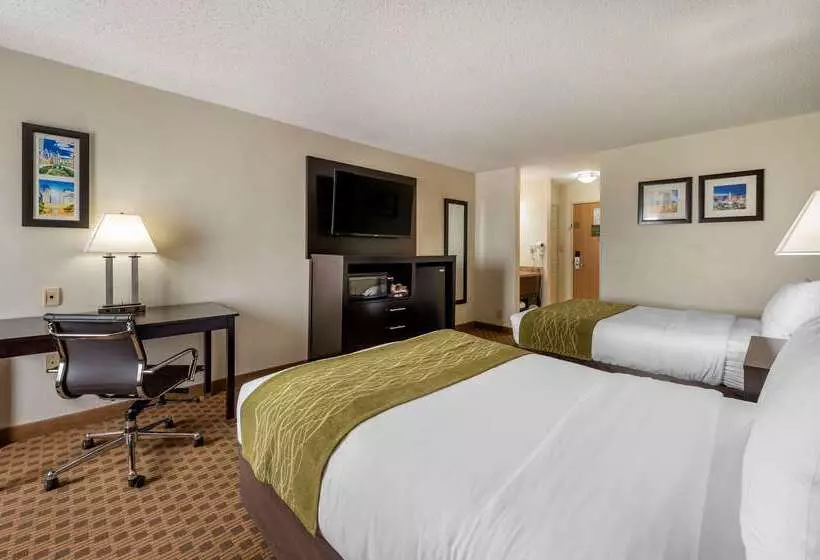 ホテル Comfort Inn East