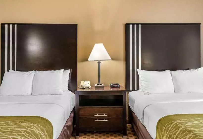 ホテル Comfort Inn East