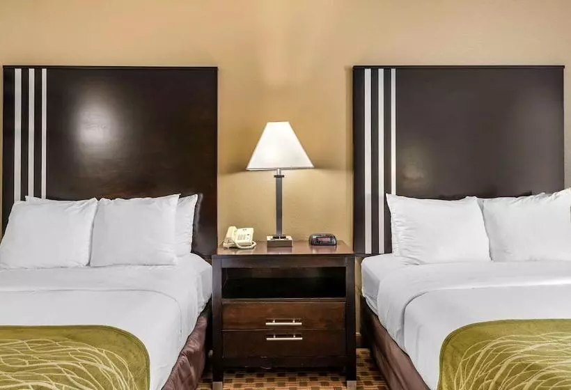 ホテル Comfort Inn East