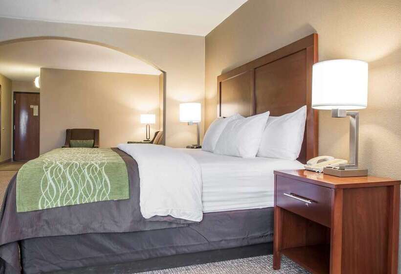 호텔 Comfort Inn Edinburg South