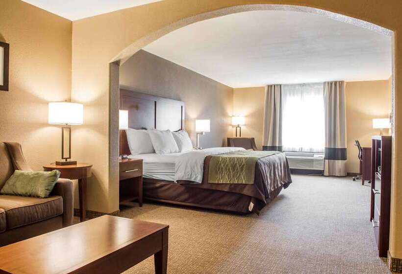 호텔 Comfort Inn Edinburg South