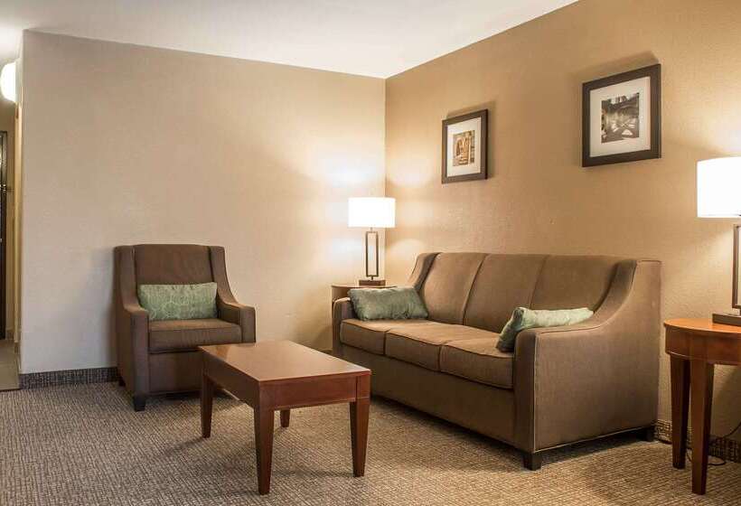 호텔 Comfort Inn Edinburg South