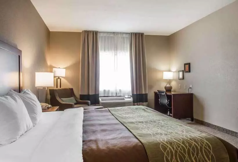 酒店 Comfort Inn Edinburg South