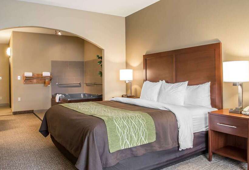 호텔 Comfort Inn Edinburg South