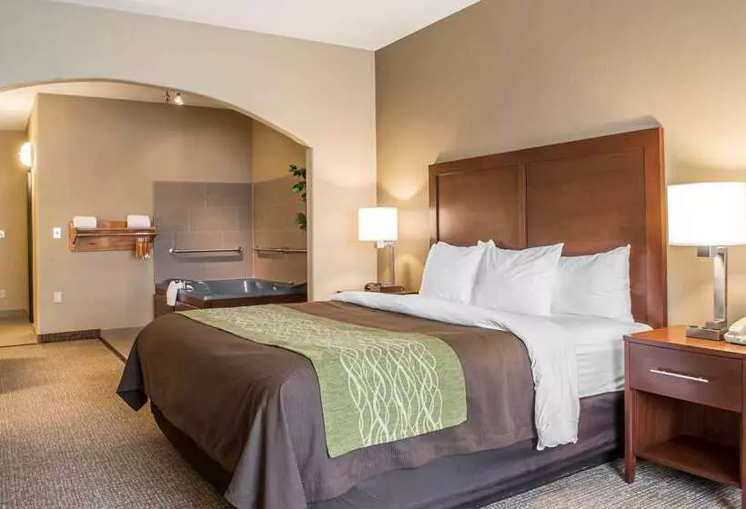 酒店 Comfort Inn Edinburg South