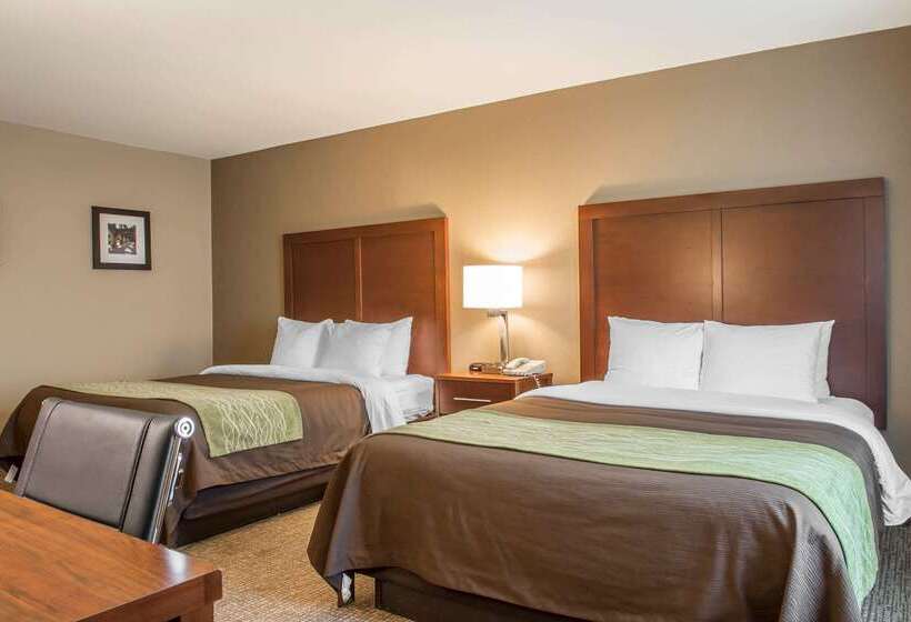 호텔 Comfort Inn Edinburg South