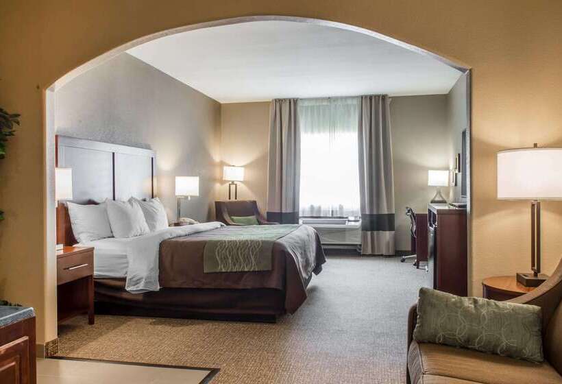 호텔 Comfort Inn Edinburg South