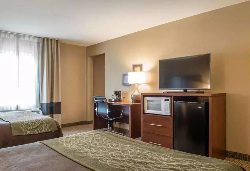 酒店 Comfort Inn Edinburg South