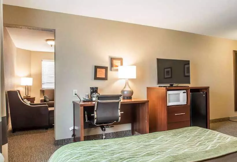 酒店 Comfort Inn Edinburg South