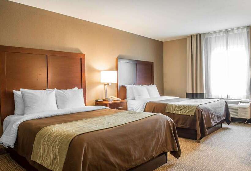 호텔 Comfort Inn Edinburg South