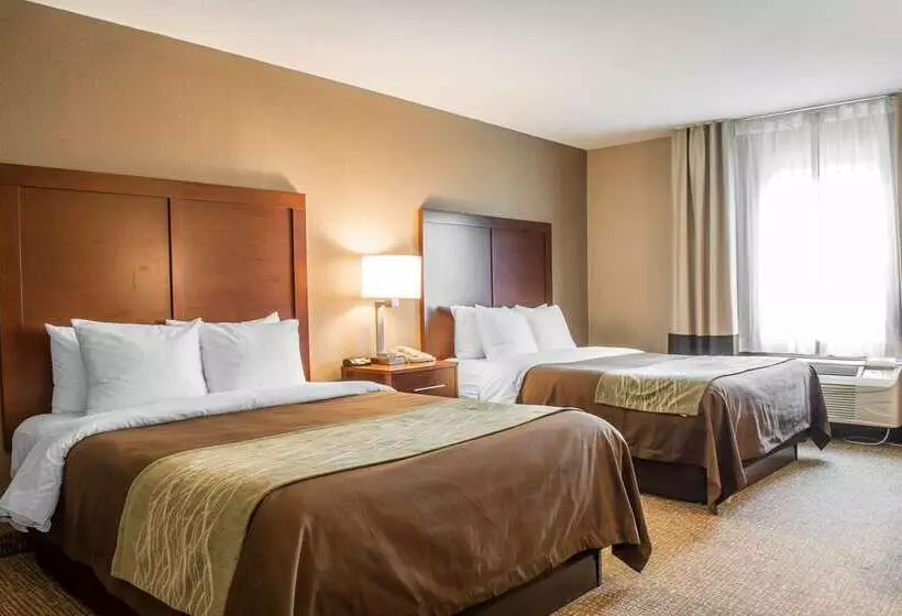 酒店 Comfort Inn Edinburg South