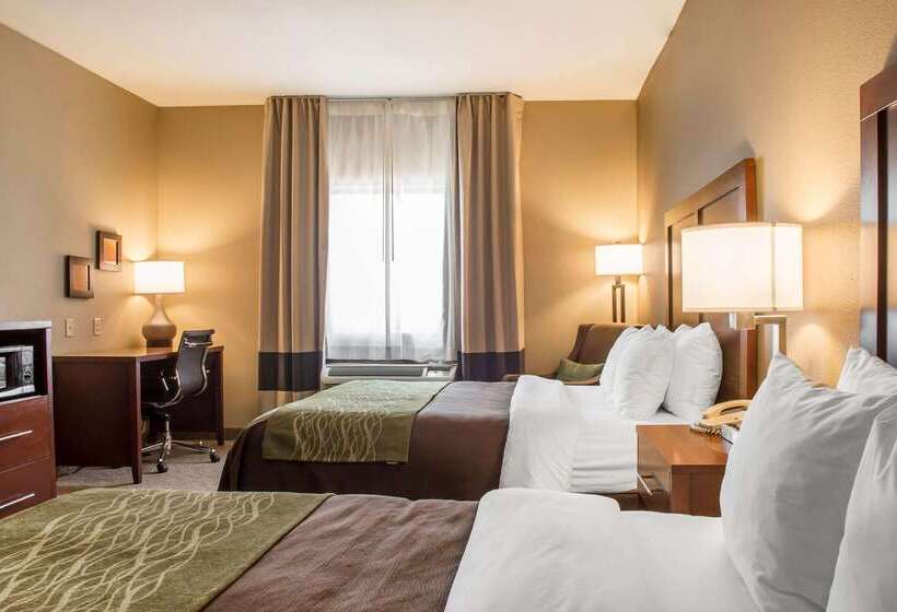 호텔 Comfort Inn Edinburg South