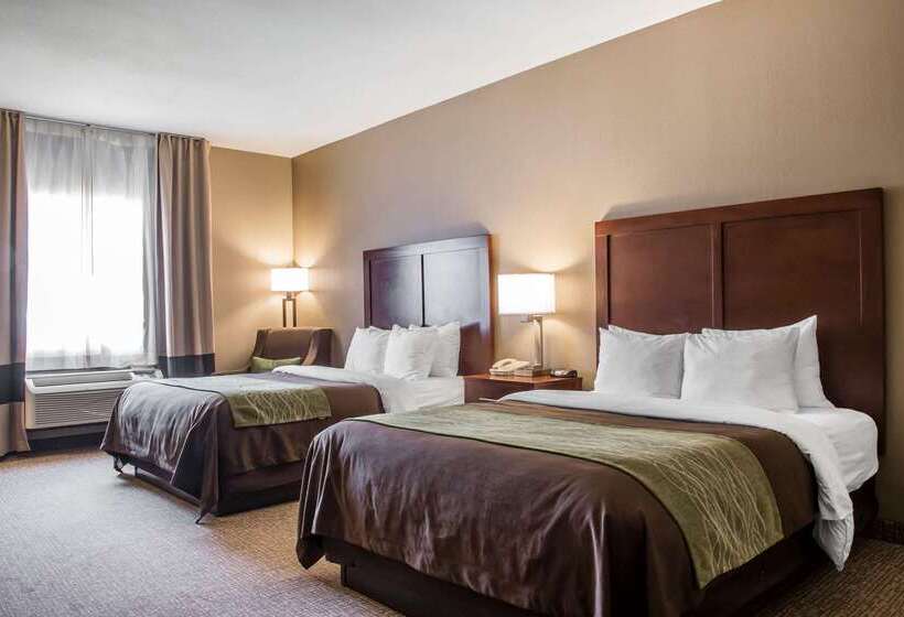 호텔 Comfort Inn Edinburg South