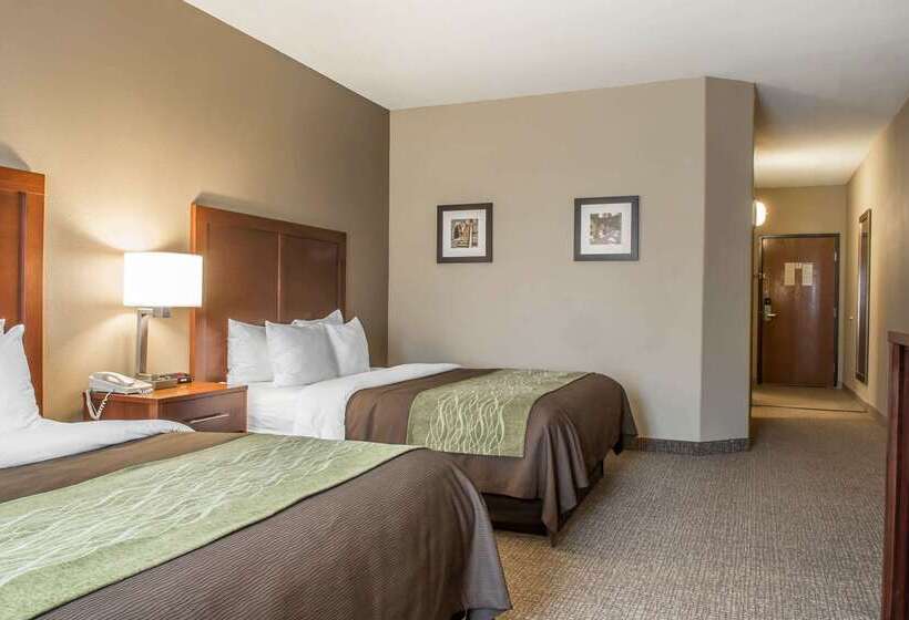 호텔 Comfort Inn Edinburg South