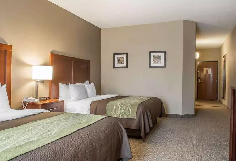 酒店 Comfort Inn Edinburg South