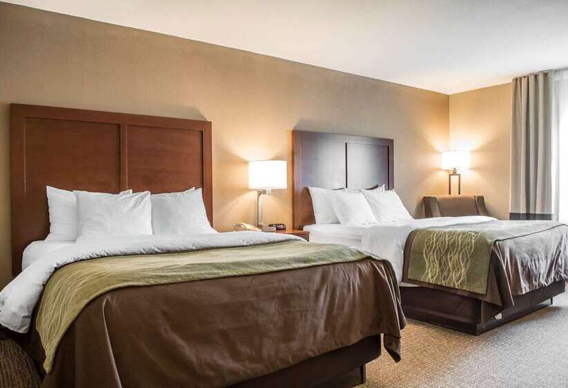 호텔 Comfort Inn Edinburg South