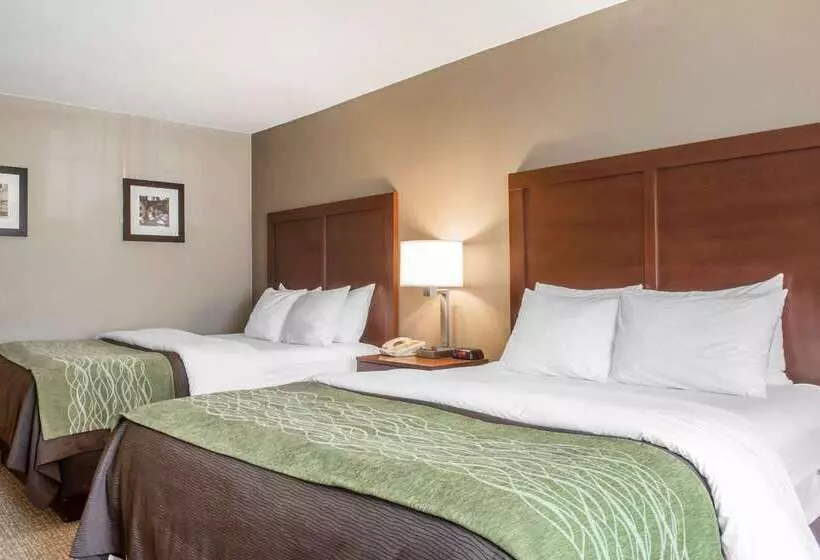 酒店 Comfort Inn Edinburg South