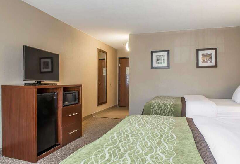 호텔 Comfort Inn Edinburg South