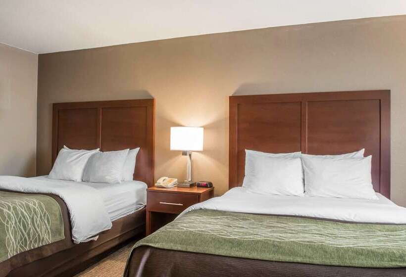 호텔 Comfort Inn Edinburg South