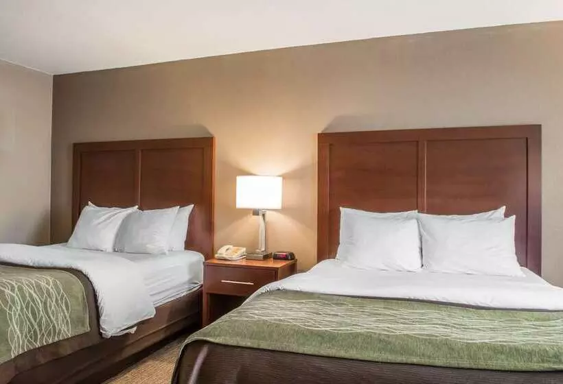 酒店 Comfort Inn Edinburg South