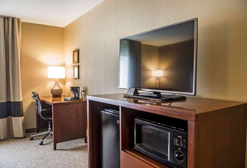 호텔 Comfort Inn Edinburg South