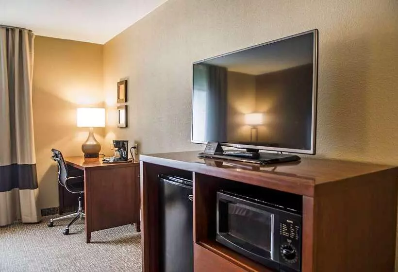 酒店 Comfort Inn Edinburg South