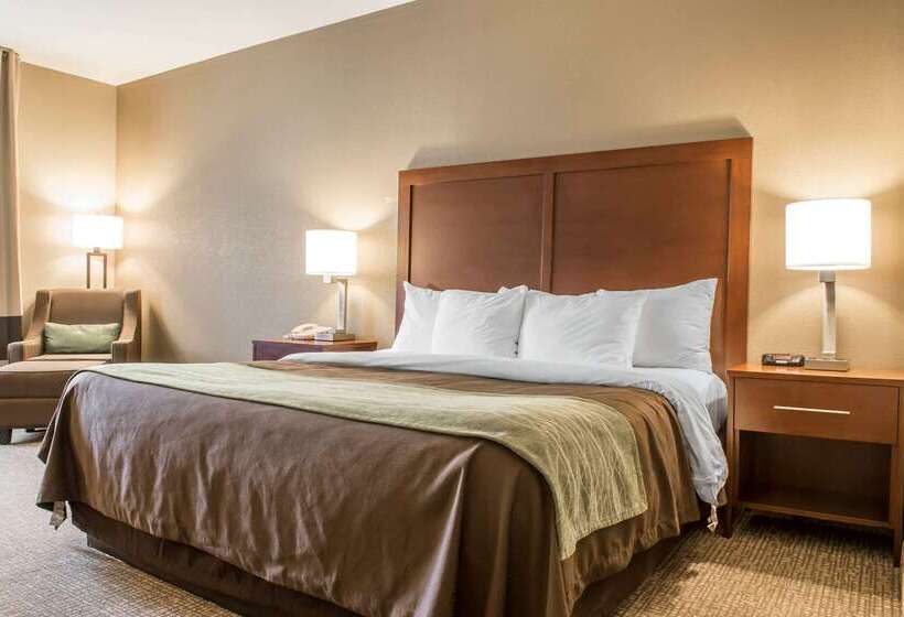 호텔 Comfort Inn Edinburg South