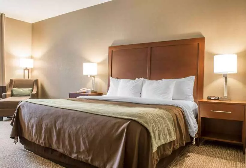 酒店 Comfort Inn Edinburg South