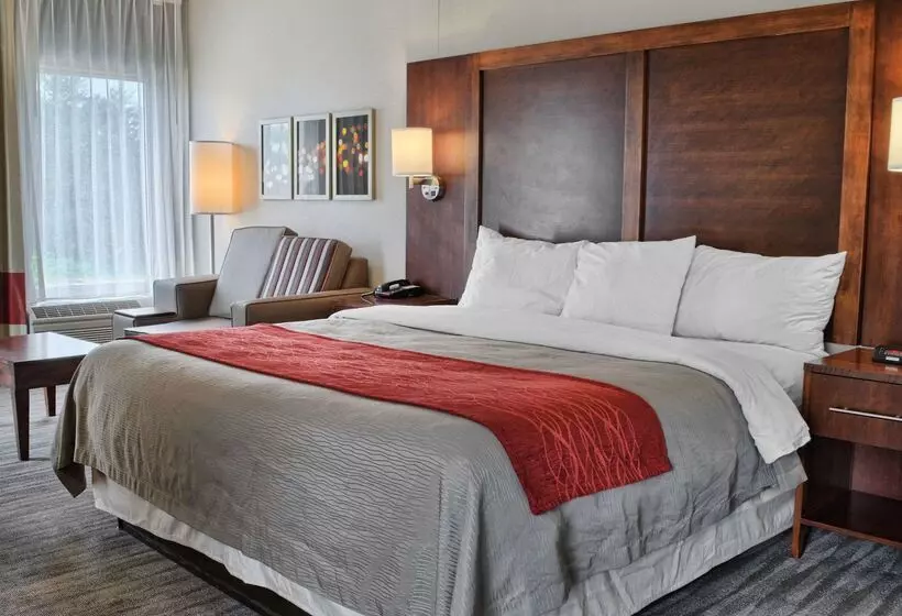 酒店 Comfort Inn Ruther Glen Near Kings Dominion