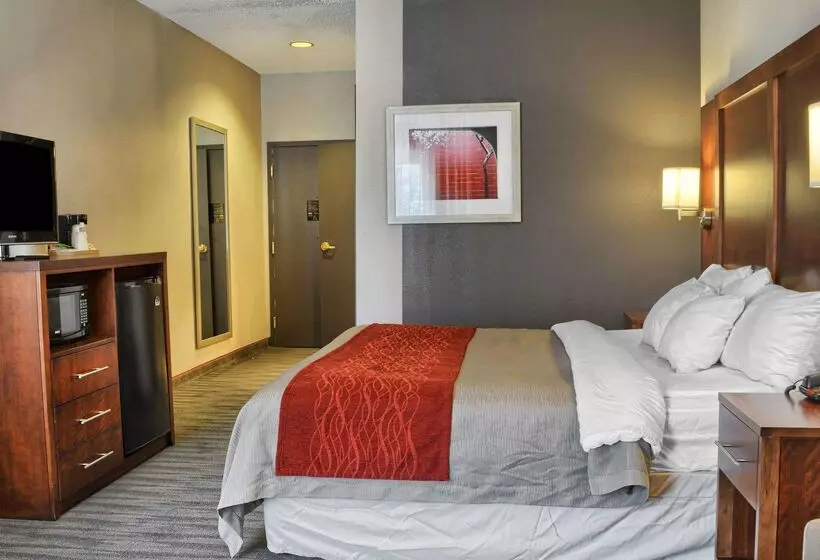 酒店 Comfort Inn Ruther Glen Near Kings Dominion