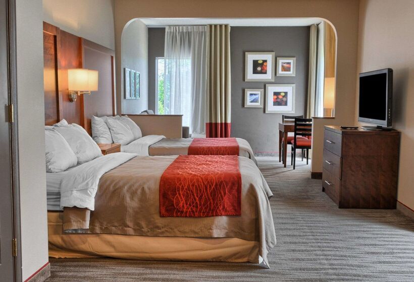 酒店 Comfort Inn Ruther Glen Near Kings Dominion