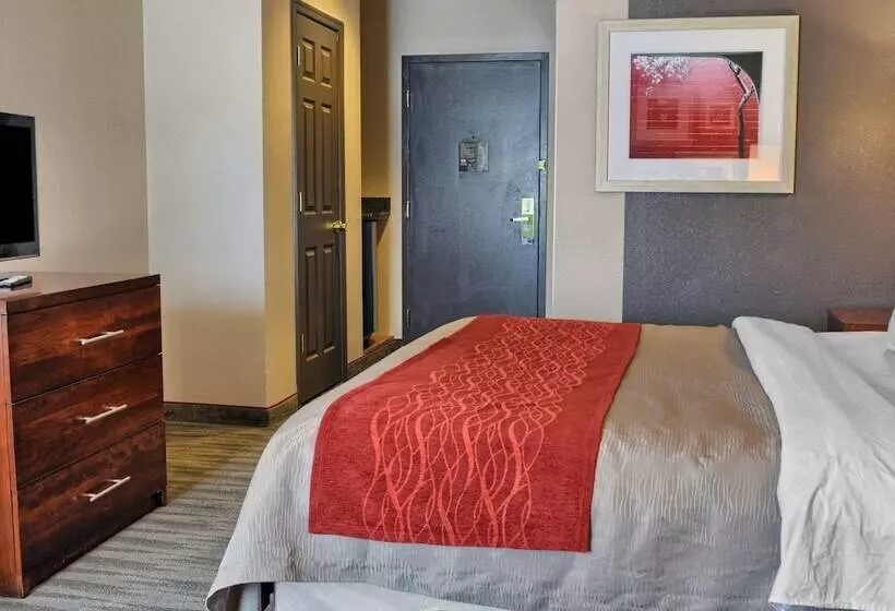 酒店 Comfort Inn Ruther Glen Near Kings Dominion