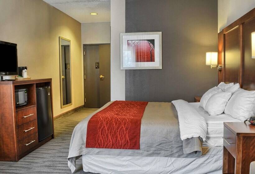 酒店 Comfort Inn Ruther Glen Near Kings Dominion