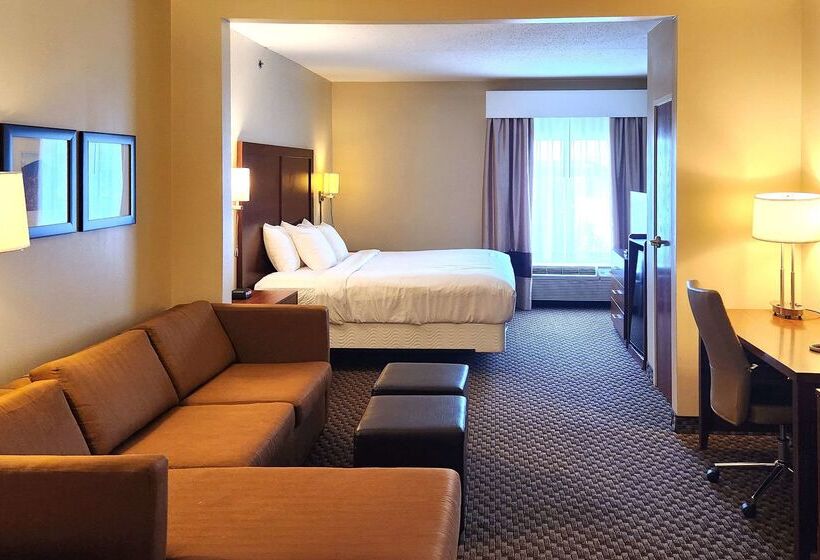 ホテル Comfort Inn & Suites Near Pocono Mountains