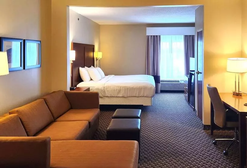 酒店 Comfort Inn & Suites Near Pocono Mountains